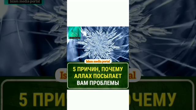 Islam media portal - 5 Причины , Почему Аллах Посылает Вам Проблемы?! смотреть онлайн