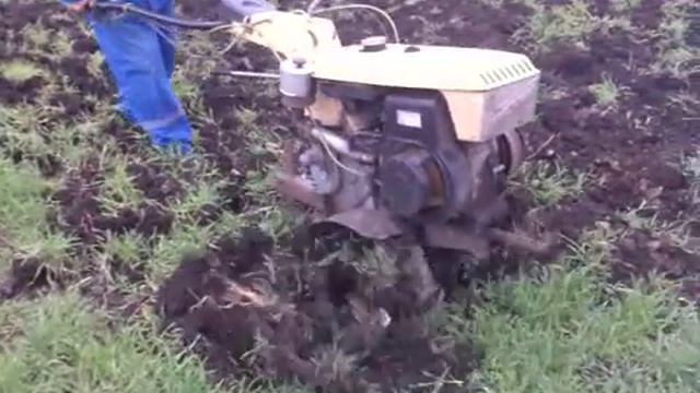 Видео001.3gp смотреть онлайн