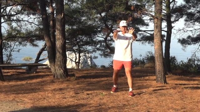 ШКОЛА ИЦЮАНЬ-136. ТУЙШОУ СОЛО (2-х ходовка ФУАНЬ) смотреть онлайн