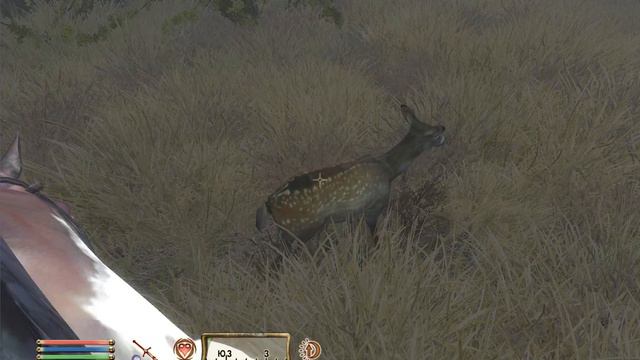 TES IV Oblivion - Deer in grass 2023 01 10 16 25 57 41 смотреть онлайн