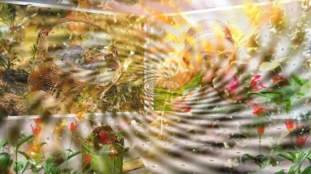 Дача Буран 30 лет! смотреть онлайн