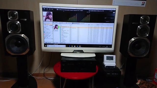 PIONEER private PRO S-X730 смотреть онлайн