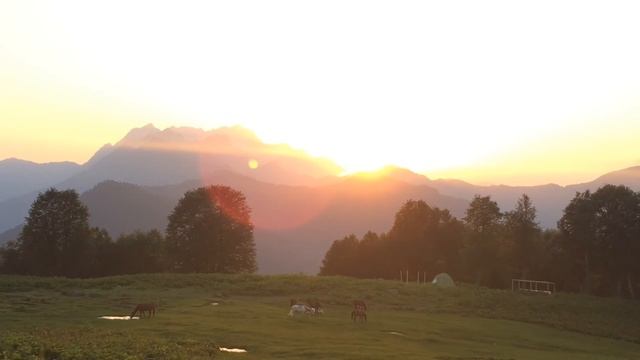 ПОХОД ПО АБХАЗИИ К ОЗЕРУ РИЦА смотреть онлайн