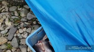 Рыбалка на Дальнем востоке 02.07.2018 г