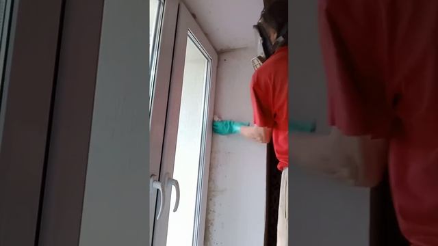 Удаление плесени - ЧистоСервисПлюс смотреть онлайн