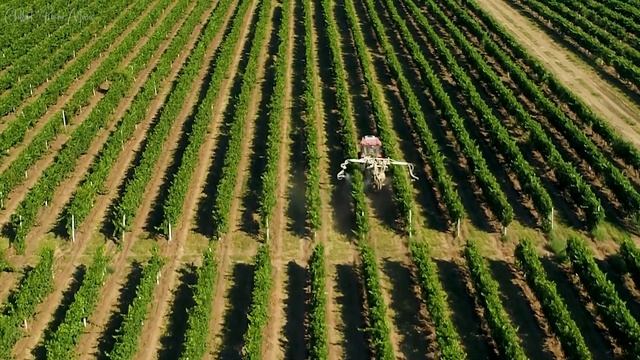 Расслабляющая музыка лечит сердце ? Успокаивающая музыка снимает стресс, глубокая медитация #4 смотреть онлайн