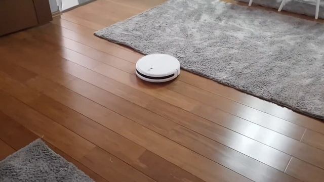 Xiaomi Mi Robot Vacuum Mop - Error Shuting down part one - 20210222 110454 смотреть онлайн