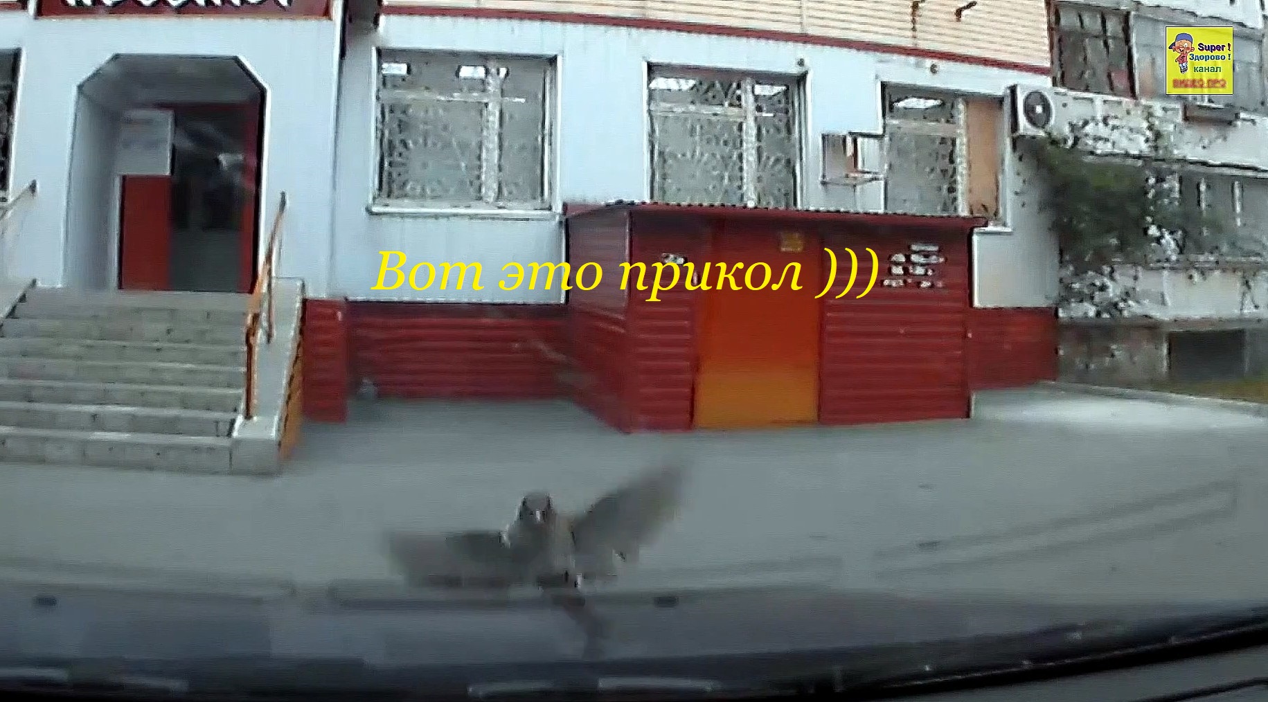 Вот это прикол смотреть онлайн