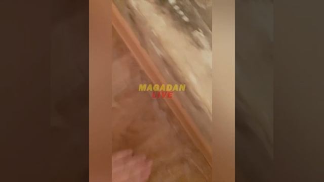 Вот так у девушки потекла крыша в Магадане смотреть онлайн