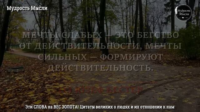 Эти СЛОВА на вес ЗОЛОТА! Цитаты великих о людях и их отношении к нам, просто до слёз