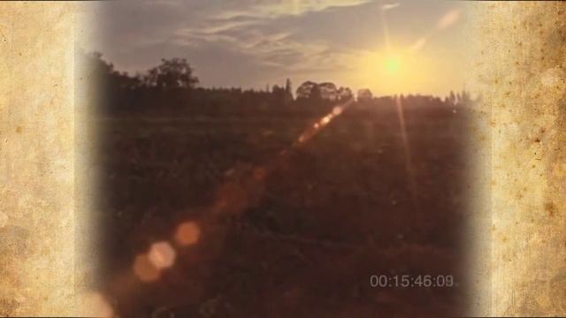 свадьба старообрядцев Орегона (1981 г/) смотреть онлайн