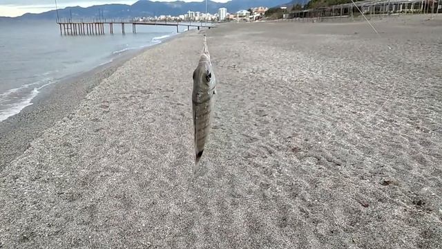 Рыбалка Алания Турция. Рыбалка с берега Турция. Как ловить рыбу в море. Турция, Аланья. смотреть онлайн
