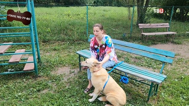 Лола смотреть онлайн