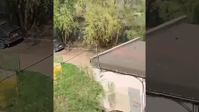 Казань 11.05.2021. Дети выпрыгивают из окон школы. Видео очевидцев смотреть онлайн