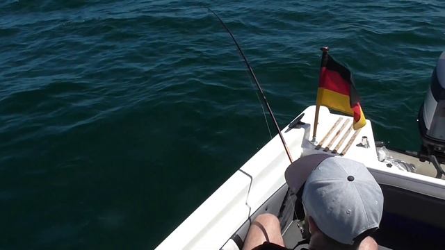 WATTWURM vs DOPPELGÄNGER von Eisele - Ködertest auf Plattfisch auf der Ostsee смотреть онлайн