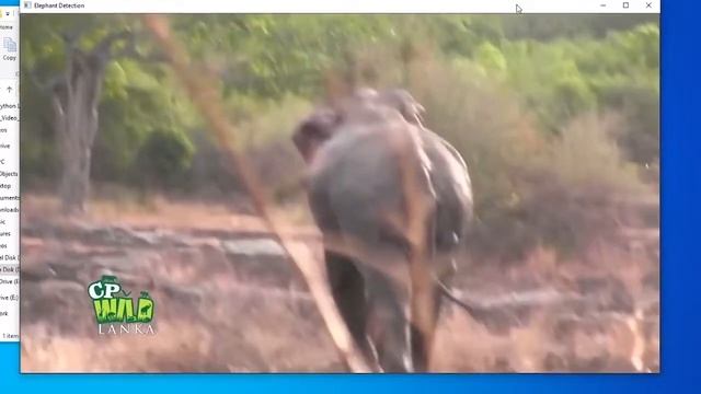 Elephant Detection System in Python and TensorFlow смотреть онлайн