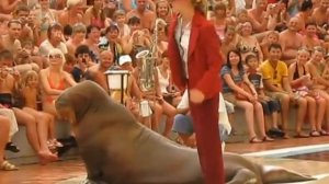 морж танцует под Майкла Джексона