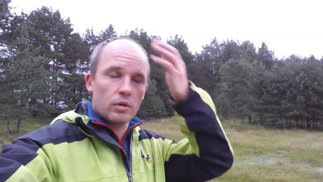 Как объяснить, зачем заповедники, молодежи? Экологические экскурсии в Петербурге. смотреть онлайн