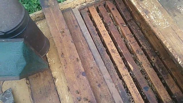 Наша пасека выросла... как развивались пойманные рои. смотреть онлайн