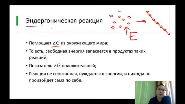 Метаболизм (АТФ, ферменты) смотреть онлайн