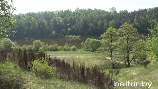 База отдыха Пригодичи - река Неман, Отдых в Беларуси смотреть онлайн