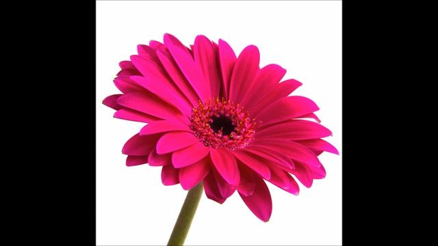 Перша нота нота До смотреть онлайн