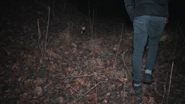 Zapomniana wieś w lesie i Duchy Zamordowanych | SRC Urbex смотреть онлайн