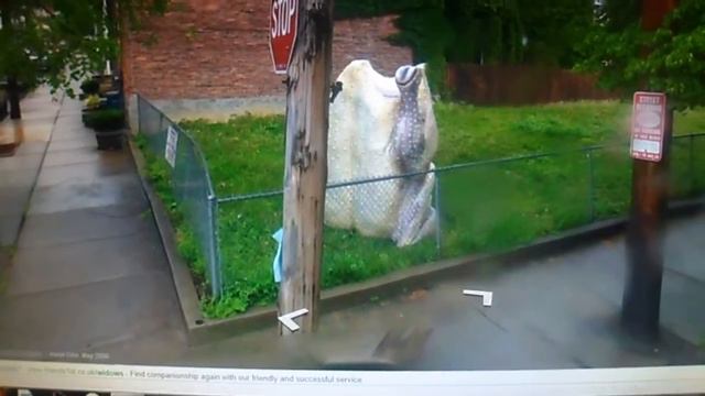 A Chicken with no head found on Google Map смотреть онлайн