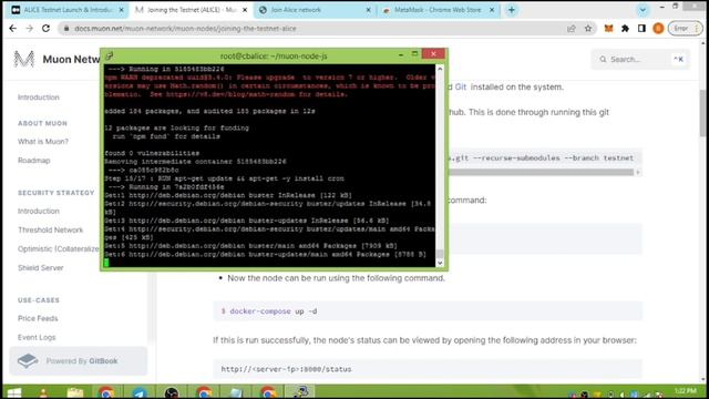 ALICE TESTNET | NODE-DROP | MUON NETWORK | FULL NODE SETUP | EXPLAINED IN HINDI смотреть онлайн