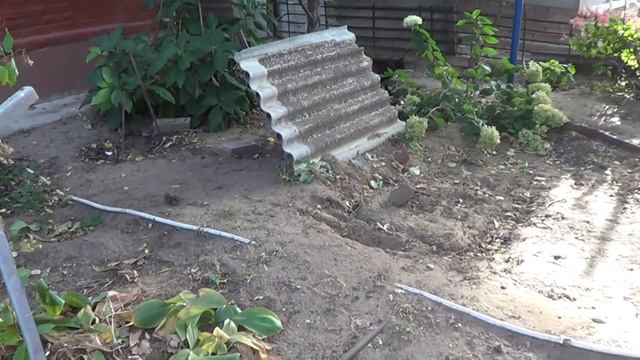 Шило в одном месте, идем гулять, Мартин хочет порвать Тихона смотреть онлайн