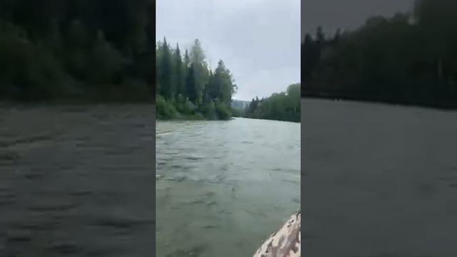 река Рыбная приток Казыра смотреть онлайн