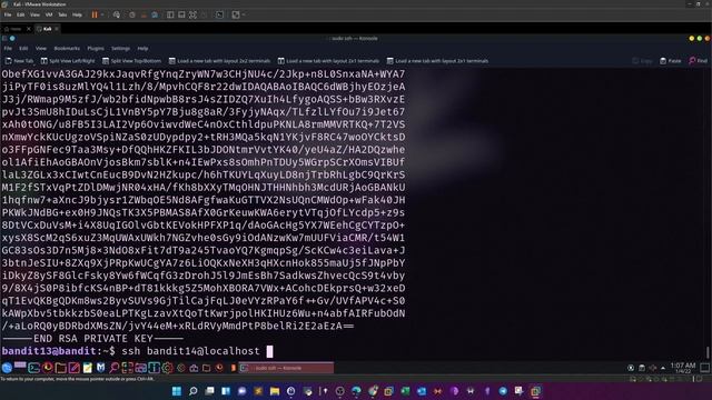 Linux Challenges Part 2 | OverTheWire Bandit Level 10-Level 19 смотреть онлайн