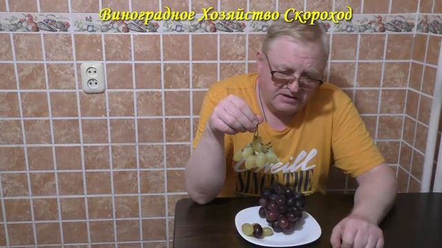 Кишмиш Сказка 2021 - постскриптум смотреть онлайн