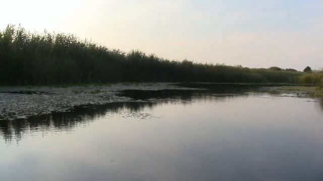 Річка Удай Подорожуемо Пирятин вул Замок до Смикової ливади серпень 2021р ч 1 смотреть онлайн