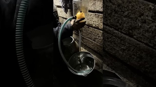 Пост промывки доильного аппарата своими руками смотреть онлайн