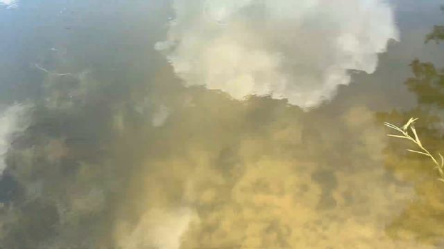 Отдых в Святогорске.Земляника и озеро Бездонное.Турбаза Полярная Медведица с огромным бассейном! смотреть онлайн