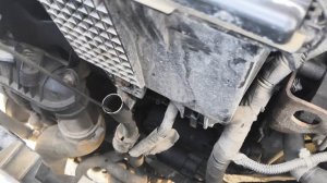 Дымит ford transit 2.2. Сапунит двигатель