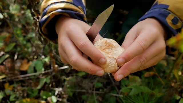 Собираем волнушки смотреть онлайн