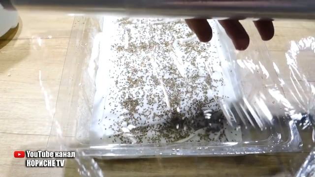 Морква проростає набагато швидше, якщо з насінням зробити це перед посівом смотреть онлайн