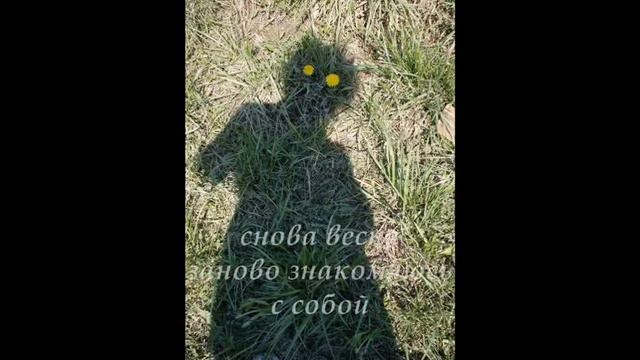 Избранные хайку.wmv смотреть онлайн