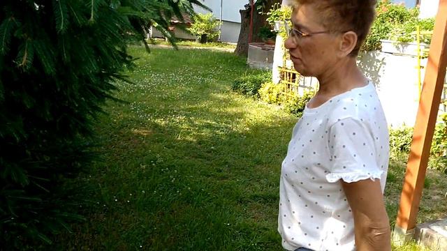 Ogród Czerwcowy - Ogrodowe Vademecum