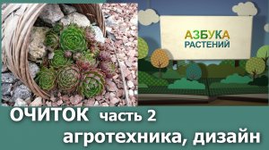 ч.2 Очитки_агротехника_в саду.mp4