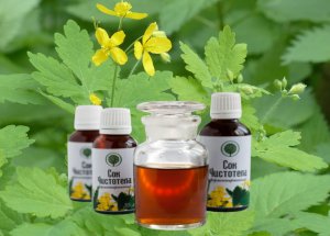 ?Как правильно сделать сок из чистотела