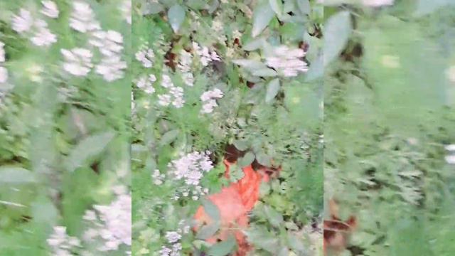 ПОДНЯЛАСЬ ВОДА💦💦💧⛲КАНАЛ МОЕЙ СЕСТРЕНКИ ССЫЛКА В ОПИСАНИИ ⬇️⬇️⬇️⬇️⬇️⬇️⬇️⬇️⬇️⬇️ смотреть онлайн