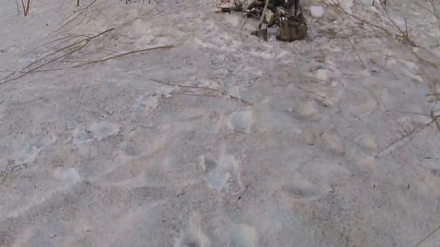 Один день на гусином пролете смотреть онлайн