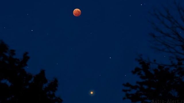 Влад Сташевский "Облако волос" смотреть онлайн