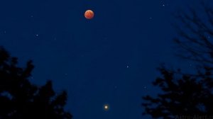 Влад Сташевский "Облако волос"