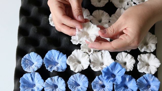 Петуния обзор инструментов смотреть онлайн