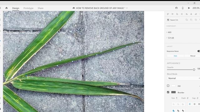 How To Remove Image Background  In 2 Minutes! | Adobe XD | Remove Image Background In Adobe XD