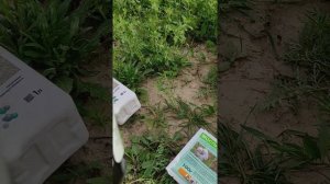 люцерна подкормка ороботка от вредителей.